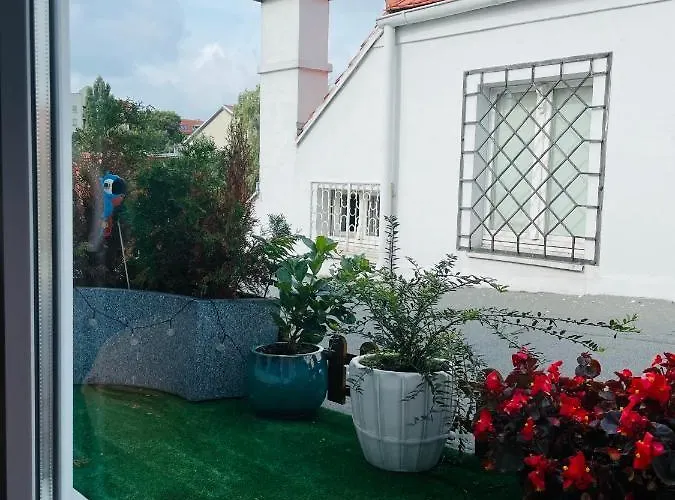 Cosy & Comfy - Old Town